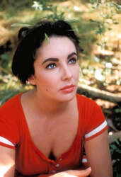 Liz Taylor