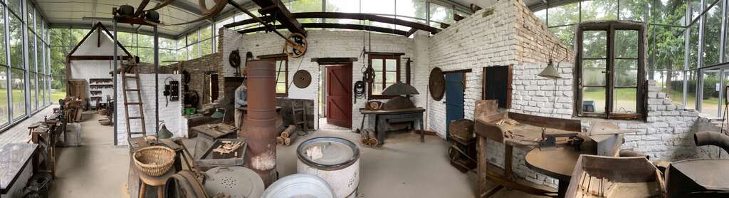 2021-08-31 Kotten (20)