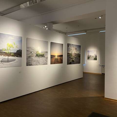 2023-10 Ausstellungsansicht Alastair Magnaldo (1)